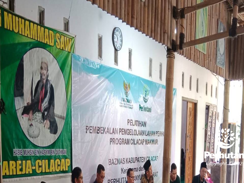 Menghijaukan Cilacap: Rahasia di Balik Layanan Perhutani BKPH Lumbir